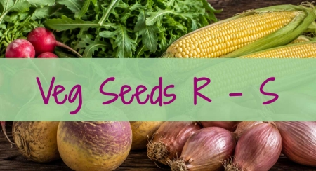 Picture for category Veg R - S